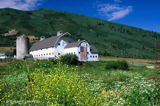 Park City Farmhouse